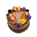 Mud cake